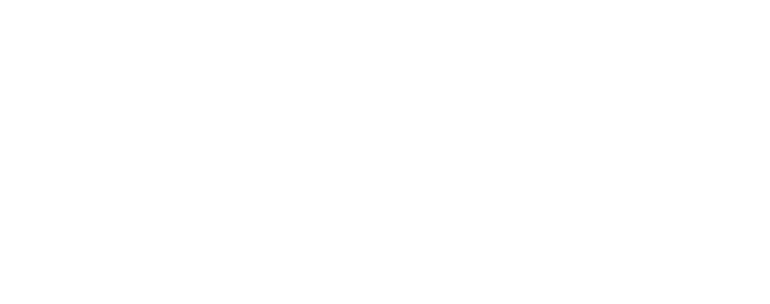Digital Spyse Logo